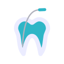 Endodoncija